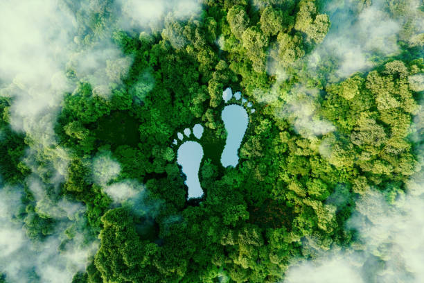 Our Planet